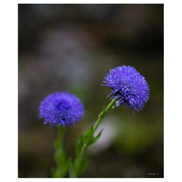 PHOTO84, CLUB, 84 , LUBERON